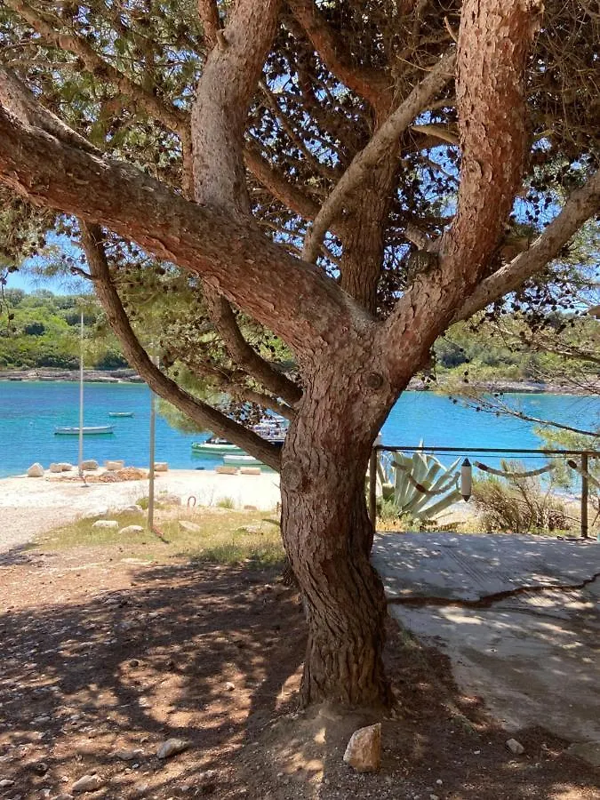 Villa Joka Banjole